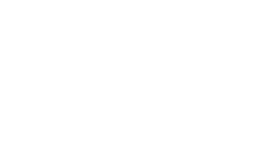 Logo Silverfort Blanc